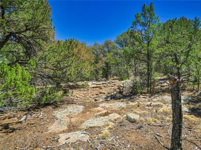 Land for sale in Aguilar, Colorado
