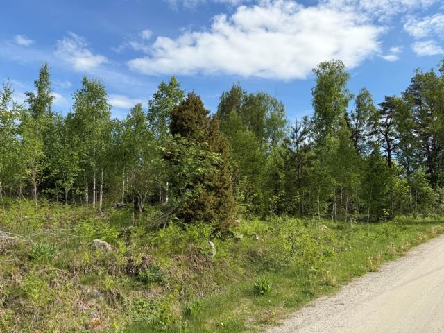 Tomt till salu i Stockholm