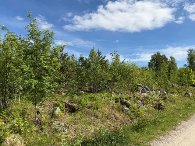 Tomt till salu i Stockholm