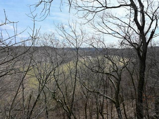 Land for sale in Brumley, Missouri