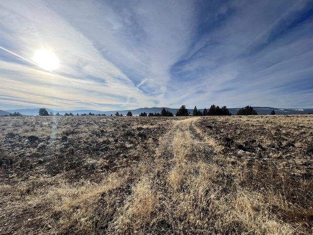 Land for sale in Oregonia