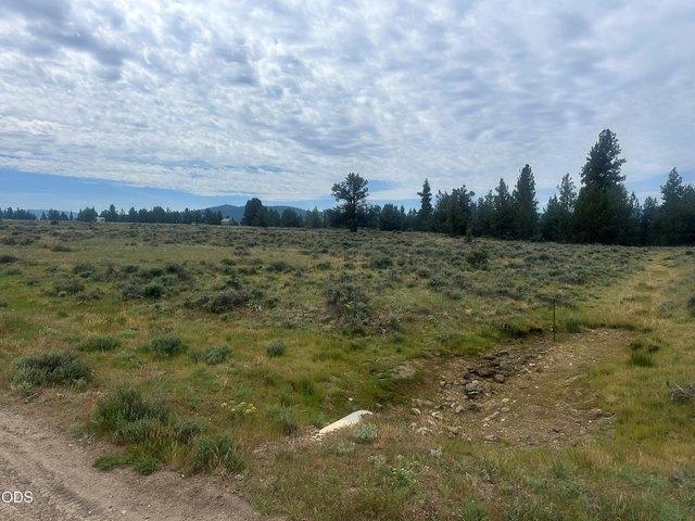 Land for sale in Oregonia