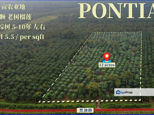 Shop for sale in Pontian, Johor