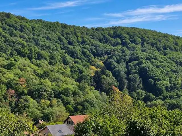 Maison vente à Rimbachzell, Collectivité européenne d'Alsace