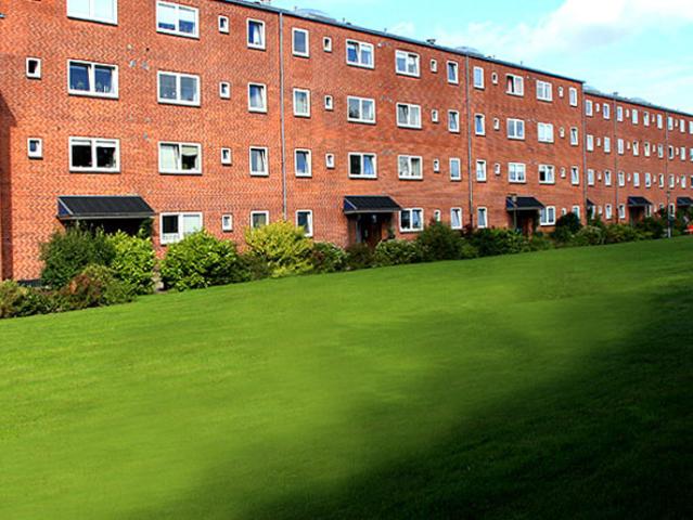 Hus til leje i Frederikshavn, Brønderslev-Dronninglund