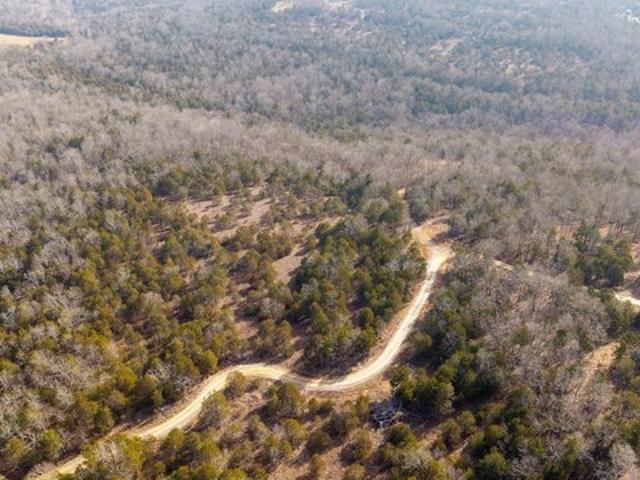 Land for sale in Gainesville, Missouri