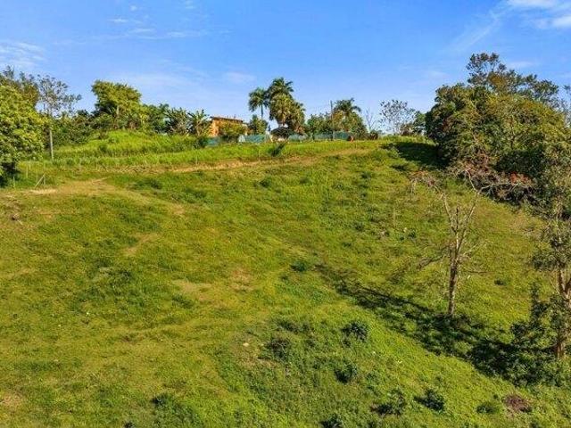 Land for sale in Rincon