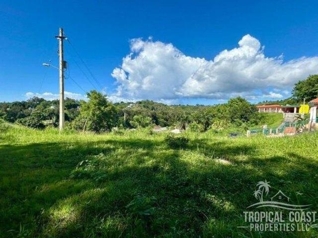 Land for sale in Rincon