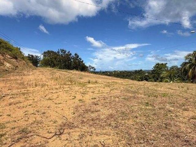 Land for sale in Rincon