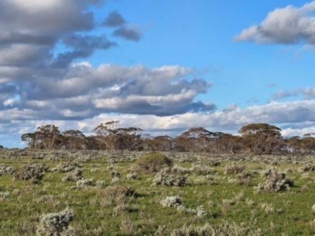 Cottage for sale in Goyder, South Australia