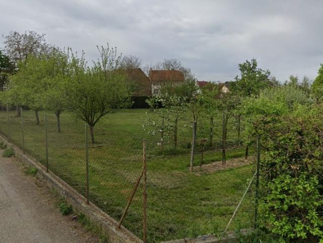 Terrain vente à Saverne, Ringendorf