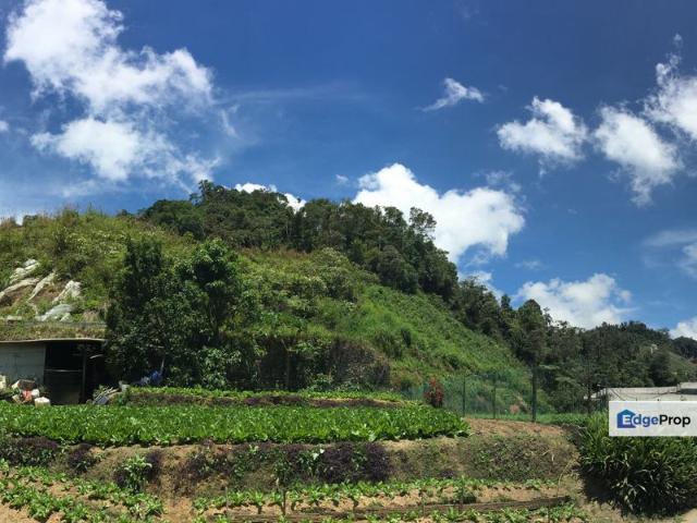 Shop for sale in Ringlet, Cameron Highlands