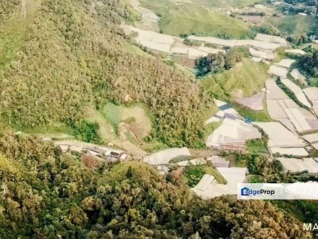 Shop for sale in Cameron Highlands, Pahang
