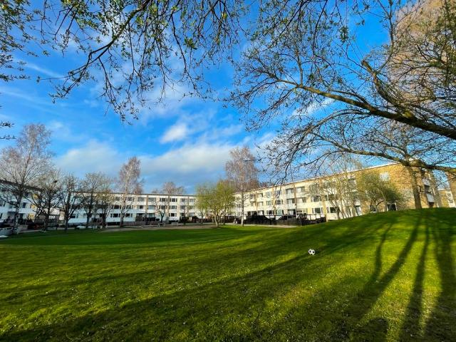 Lägenhet hyra i Gotland, Skåne