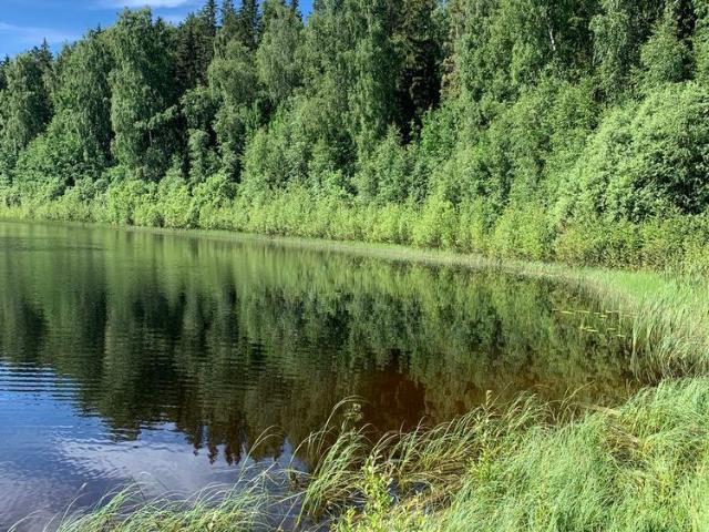 Lägenhet hyra i Hedemora, Dalarna