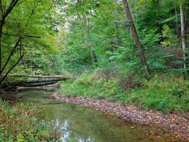 Land for sale in Nashville, Brown County