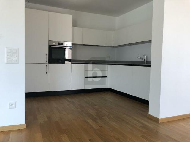 Wohnung kaufen in Mendrisio, Tessin