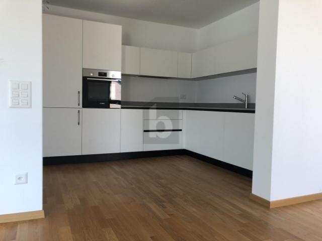 Wohnung kaufen in Mendrisio, Tessin