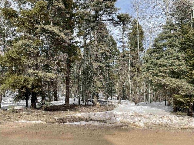 Land for sale in Angel Fire, Colfax County