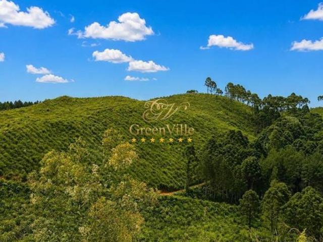 Sítio e chácara venda em Rio Branco do Sul, Região Geográfica Intermediária de Curitiba