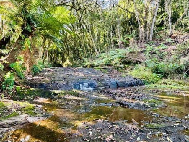 Sítio e chácara venda em Região Geográfica Imediata de Novo Hamburgo - São Leopoldo, Santa Maria do Herval