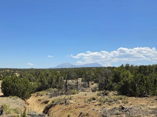 Land for sale in Walsenburg, Colorado