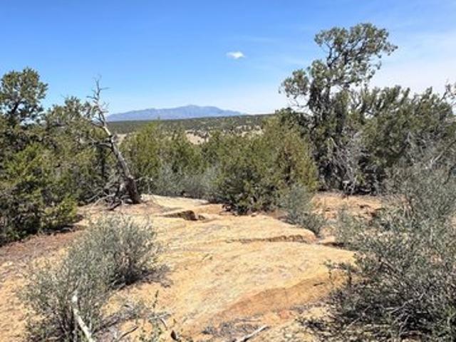 Land for sale in Walsenburg, Colorado