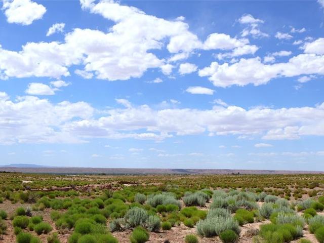 Land for sale in Veguita, New Mexico
