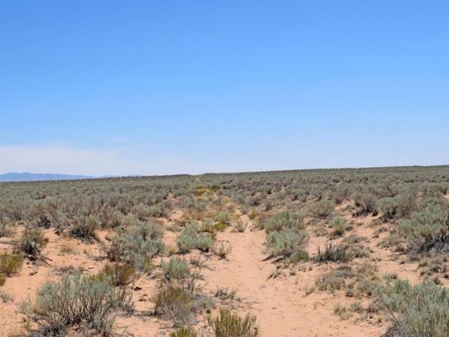Land for sale in Belen, Valencia County