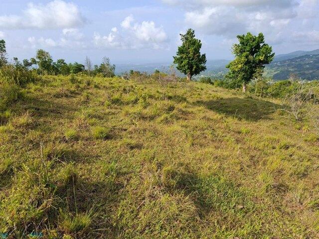 Land for sale in Green Creek, New Jersey