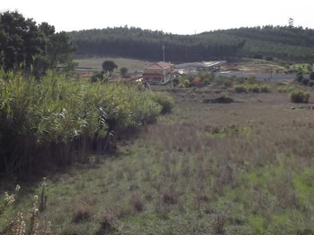 Terreno venda em Rio Maior, Santarém
