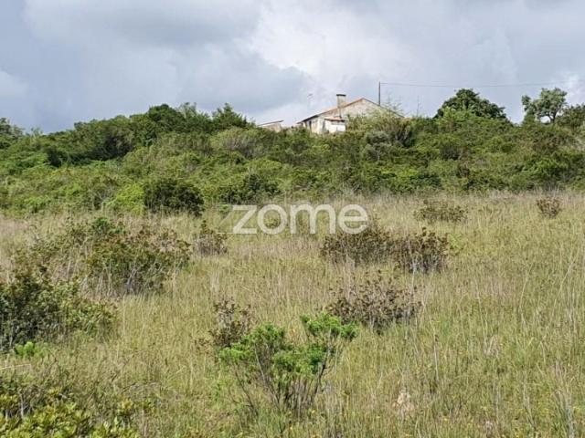 Terreno venda em Rio Maior, Santarém