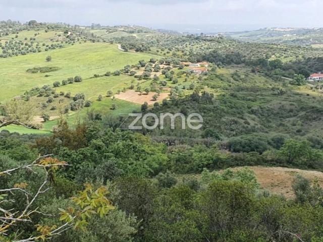 Terreno venda em Rio Maior, Santarém