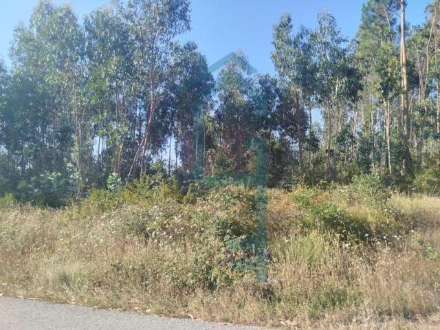 Terreno venda em Rio Maior, Santarém
