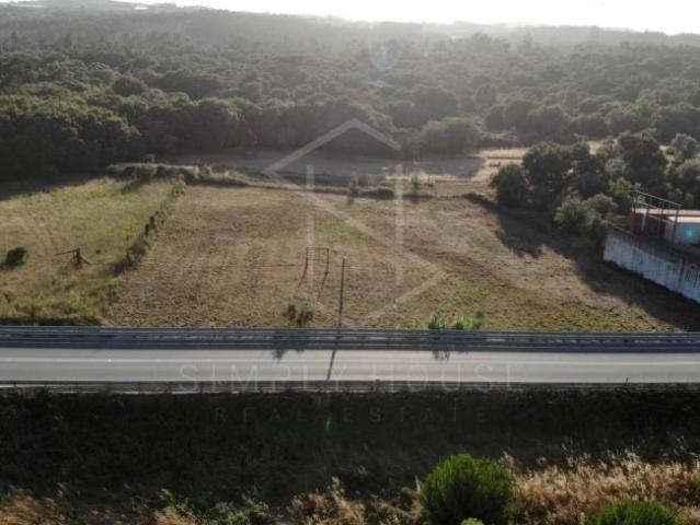 Terreno venda em Rio Maior, Santarém