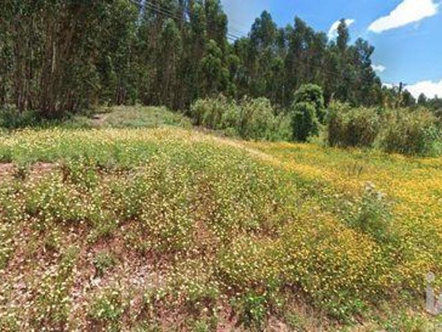 Terreno venda em Rio Maior, Santarém