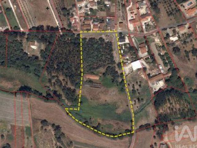 Loja venda em Rio Maior, Santarém