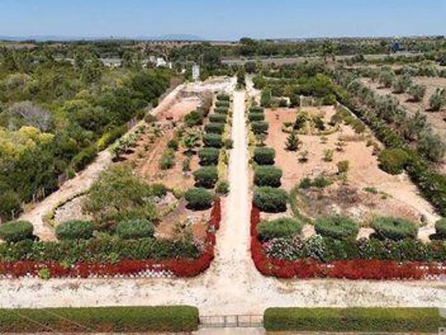 Terreno venda em Rio Maior, Santarém
