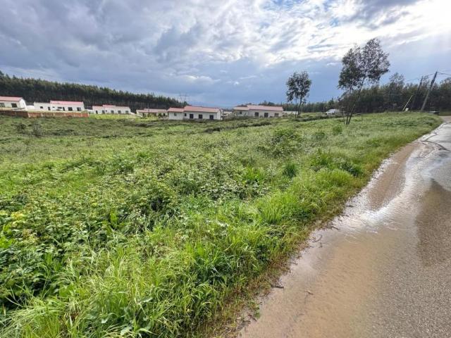 Terreno venda em Rio Maior, Santarém