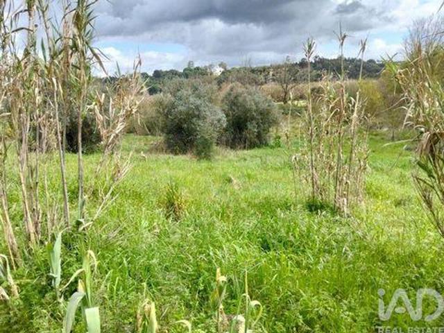 Terreno venda em Rio Maior, Santarém