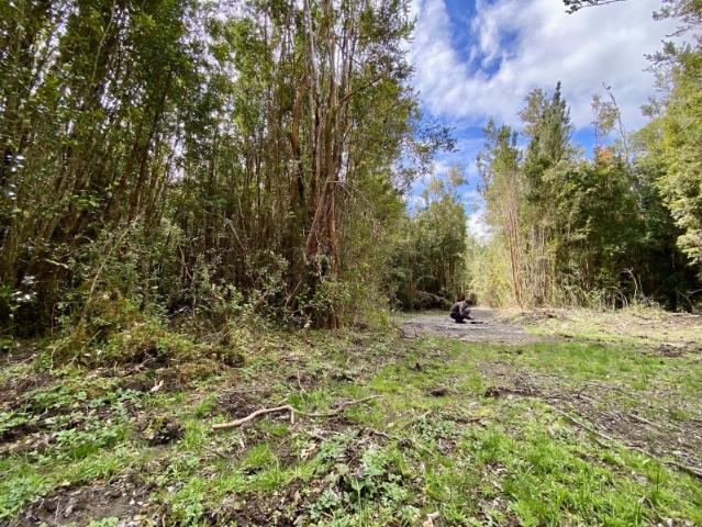 Terreno en venta en Palena, Los Lagos