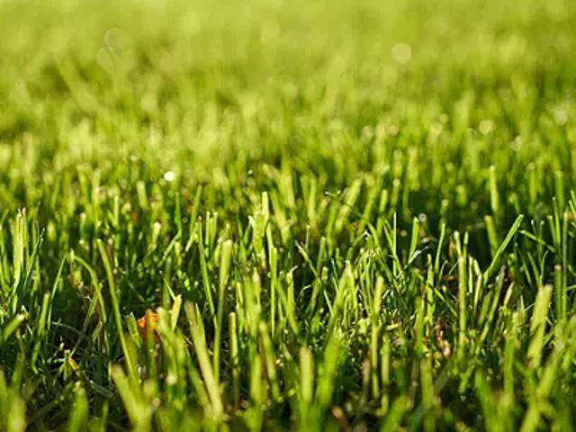 Terrain vente à France métropolitaine, Riorges