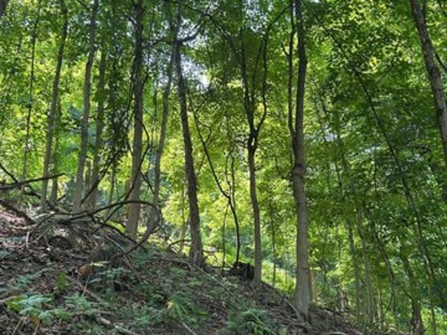 Land for sale in Mckeesport, Pennsylvania