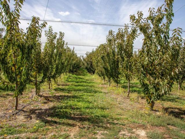 Land for sale in Otakou