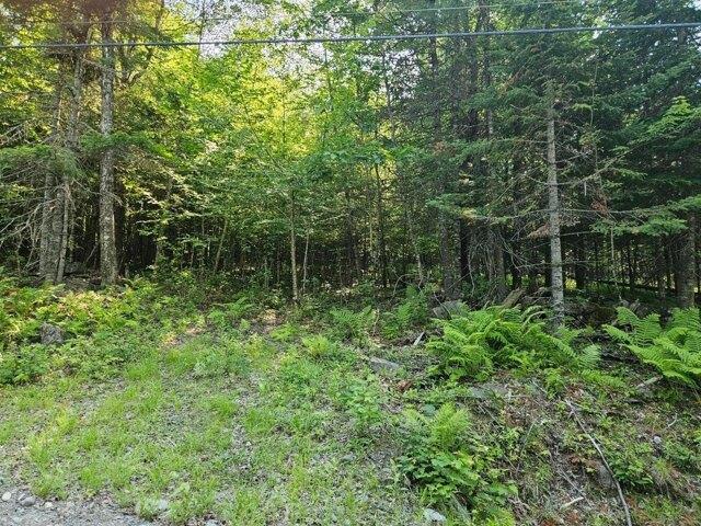 Land for sale in Milo, Piscataquis County