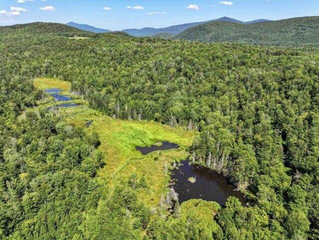 Land for sale in Ripton, Vermont