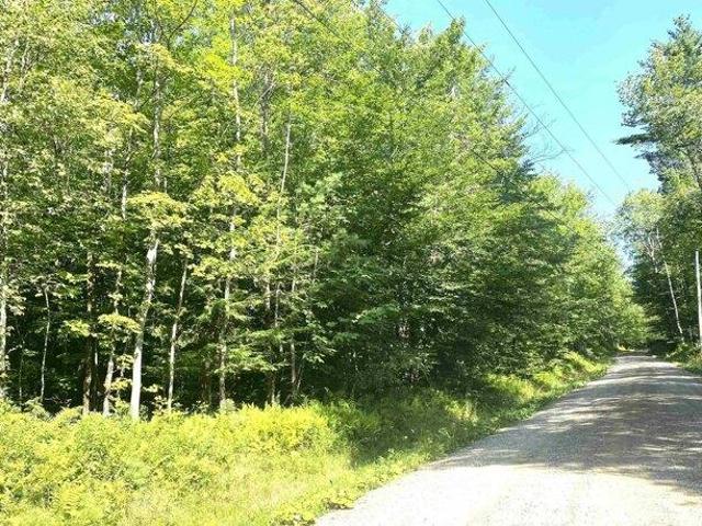 Land for sale in Ripton, Vermont