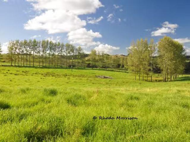 House for sale in Matakohe, Northland