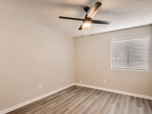 Apartment for rent in Tempe, Arizona