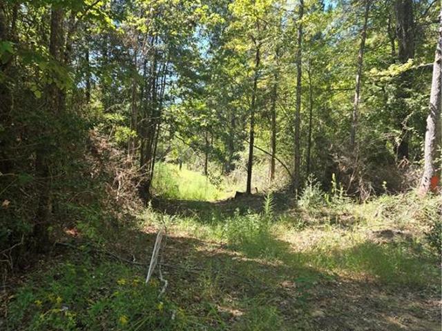 Land for sale in Sikes, Winn Parish